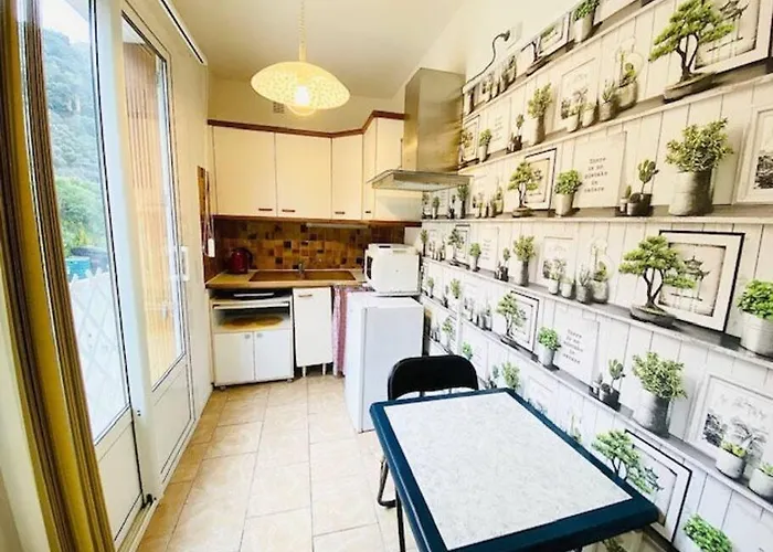 Apartamento Les Bains Coquet F1 *